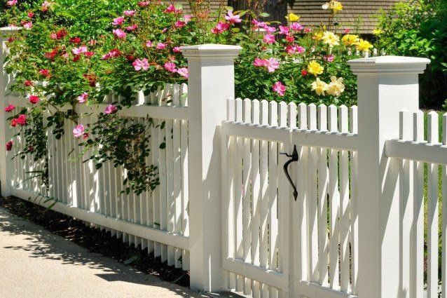 A white picket fence with flowers growing behind it