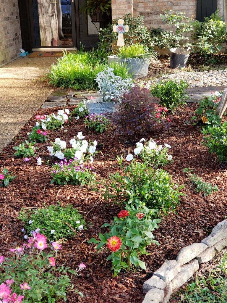 Outdoor Plants — Tyler, TX — Creative Landscape Solutions