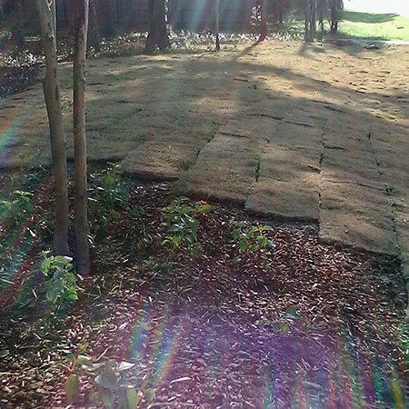 Sod Installation In A Backyard — Tyler, TX — Creative Landscape Solutions