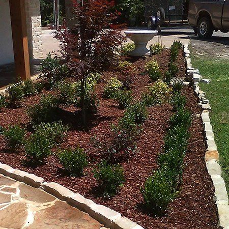 Landscape Plants Design — Tyler, TX — Creative Landscape Solutions