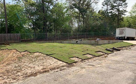 Sod Installation Near Road — Tyler, TX — Creative Landscape Solutions Sod Installation Near Road — Tyler, TX — Creative Landscape Solutions