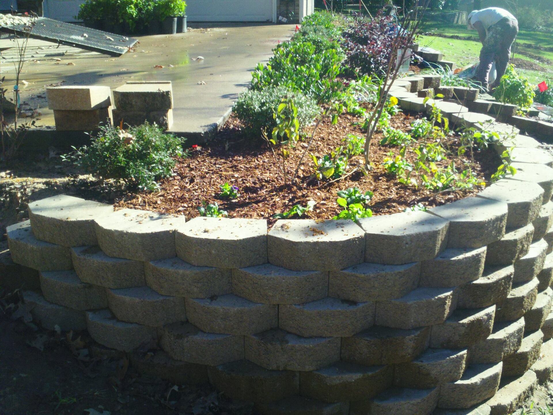 Plants On A Retaining Wall — Tyler, TX — Creative Landscape Solutions