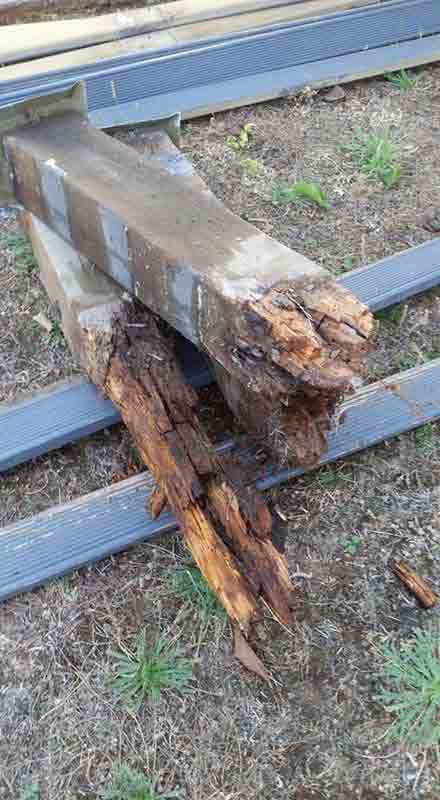 Rotted Wood