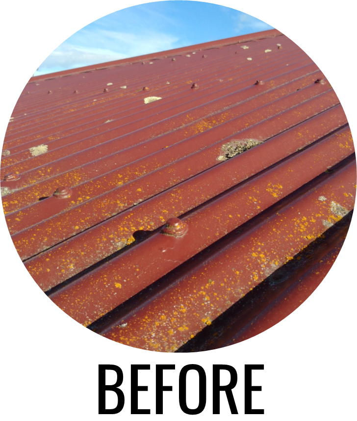 damaged roof by moss and lichen