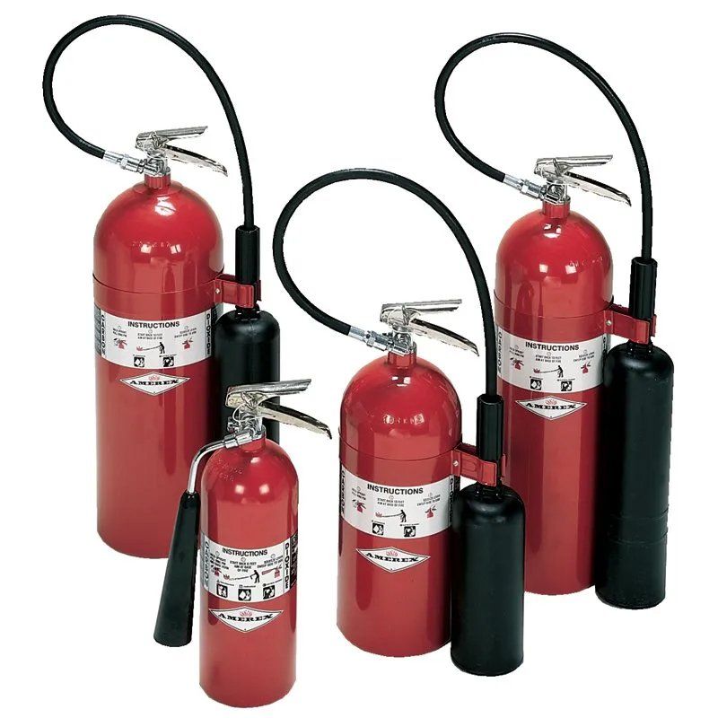 Group of Fire Extinguisher — Utica, NY — ABC Fire Extinguisher Co Inc