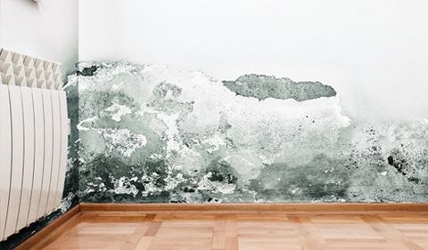 damp proofing