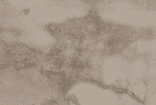 damp walls