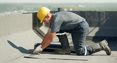 roofing expert