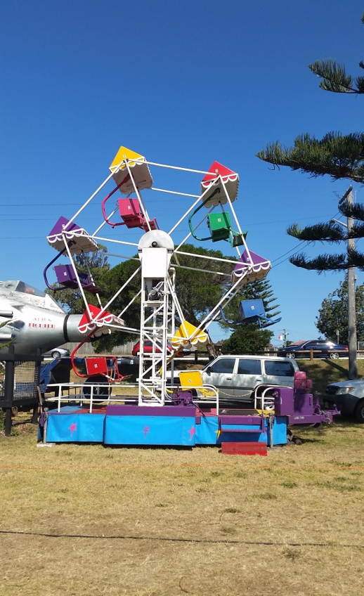 MINI FERRIS WHEEL
