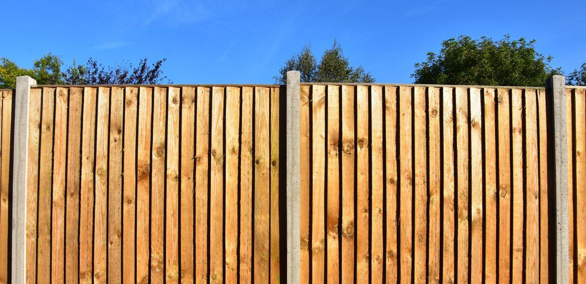 Wooden fence with vertical planks, topped by greenery under a bright blue sky.