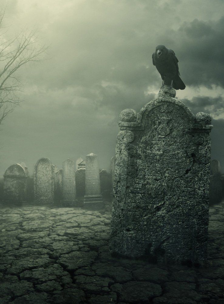 Old tombstone with scary crow on haunted cemetery. Horror graveyard at night with evil moon
