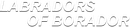 Silver italic text reading “LABRADORS OF BORADOR” on a white background