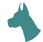  A dog