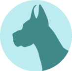  A dog