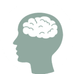  A brain in a head