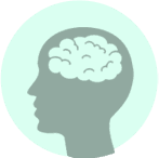  A brain in a head