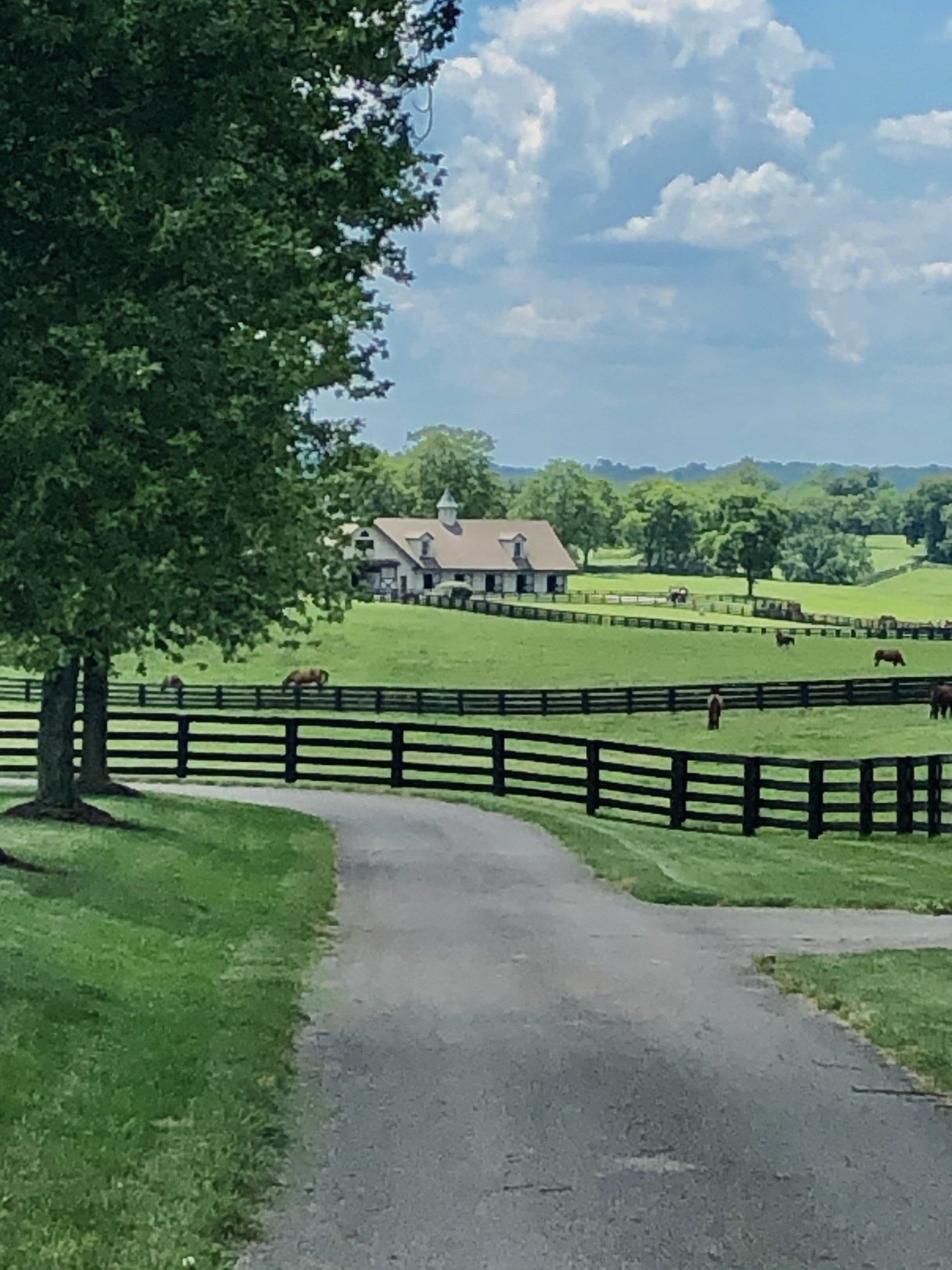 Bourbon Trail tours