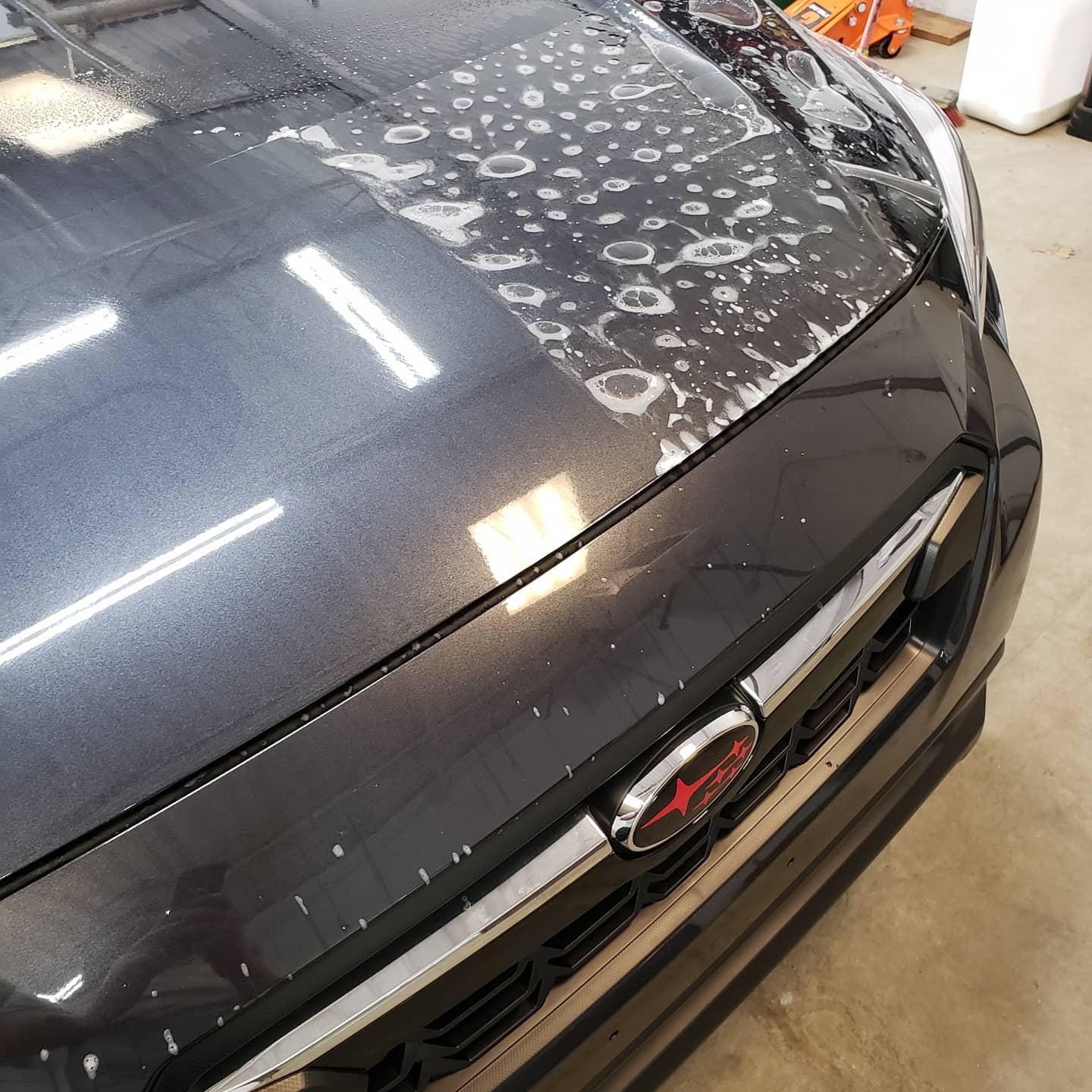 Subaru Crosstrek PPF Clear Bra Part Hood Applicatino