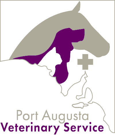 Port Augusta Veterinary Service port augusta veterinary service