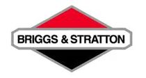 Purchase Briggs Parts On Line Briggs & Stratton Racing Engines and Parts At Kart-O-Rama.