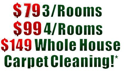 carpet cleaning specials, steam carpet cleaning, professional carpet cleaners