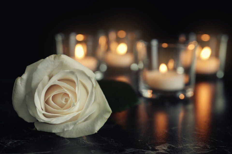 Rosa bianca e lumini