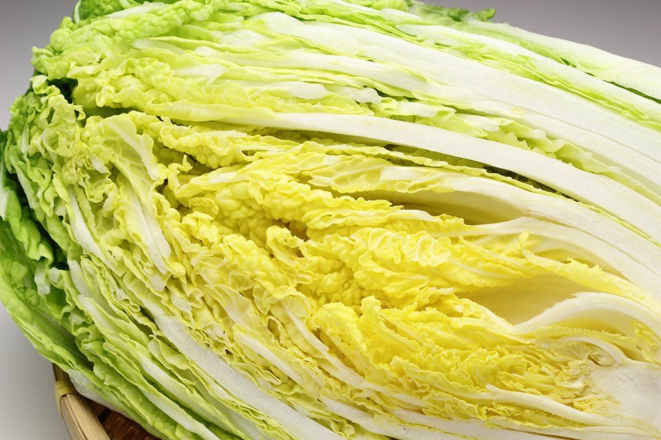 白菜画像