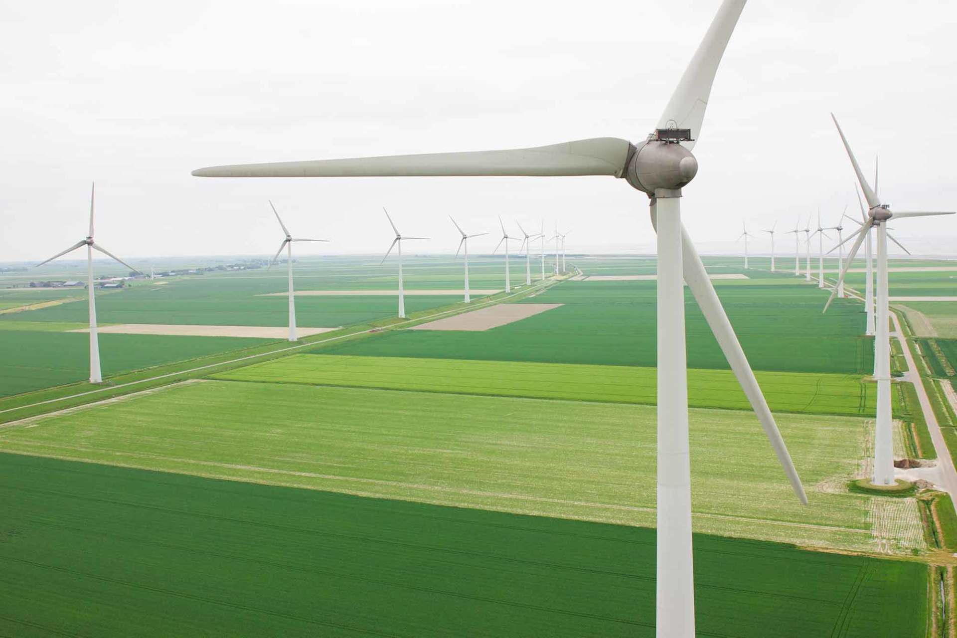 Aerial view of a many windmills