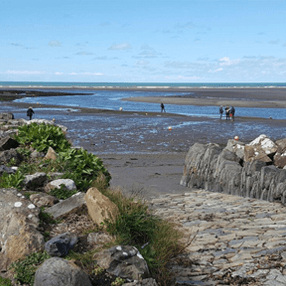 coastal area