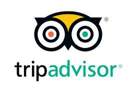 Tripadvisor icon