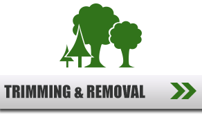 Trimming Logo — About Our Company in Thousand Oaks, CA