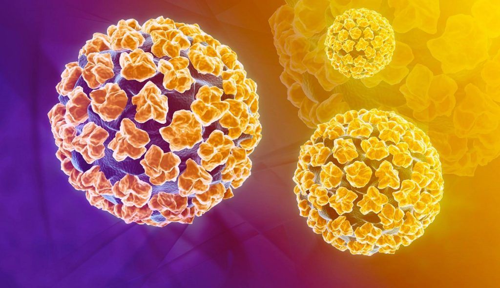 papilloma virus