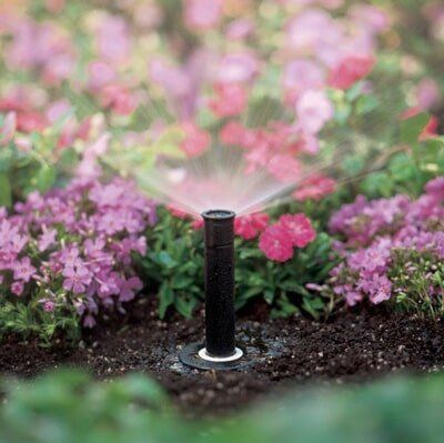 Flower — Flower Sprinklers in Omaha, NE