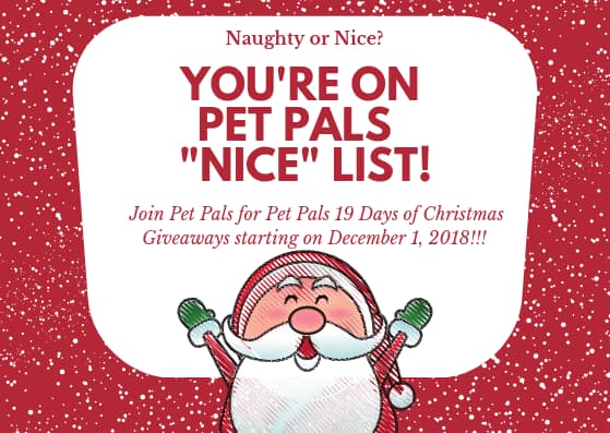 Pet Pals pet sitting, dog walking, dog sitter, cat sitter, pet taxi, and more!