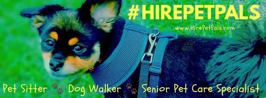 Click here to email Pet Pals for a free consultation. Hire Pet Pals Dog Walking