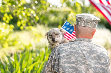 Alabama Employment Lawyer — Soldier Carrying Dog in Birmingham, AL