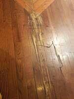 Repaired Floor - Wood Floor Refinishing & Repairs in Schenectady NY