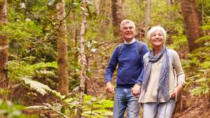 An elderly couple is walking through a forest holding hands.