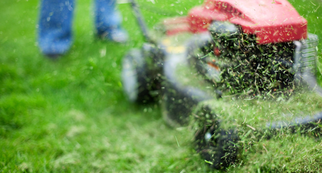 Gordon and Son | Shoeburyness, Rochford, Leigh-on-Sea | grass cutting