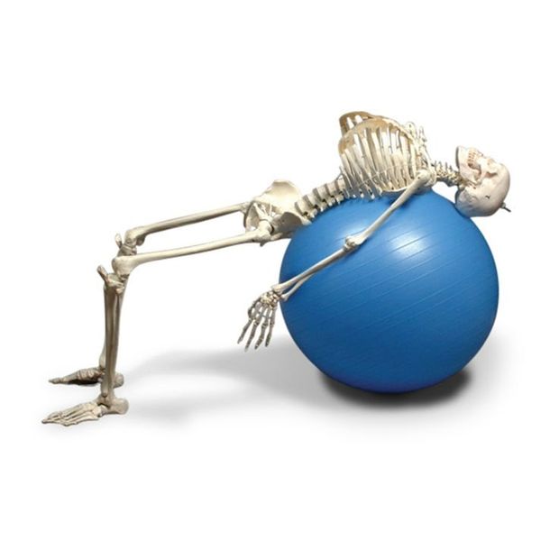 Sports therapy