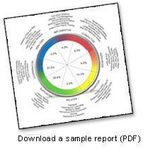 Pie chart with percentages divided by color: Implementation, Innovator, Collaborator, Relator, and more.