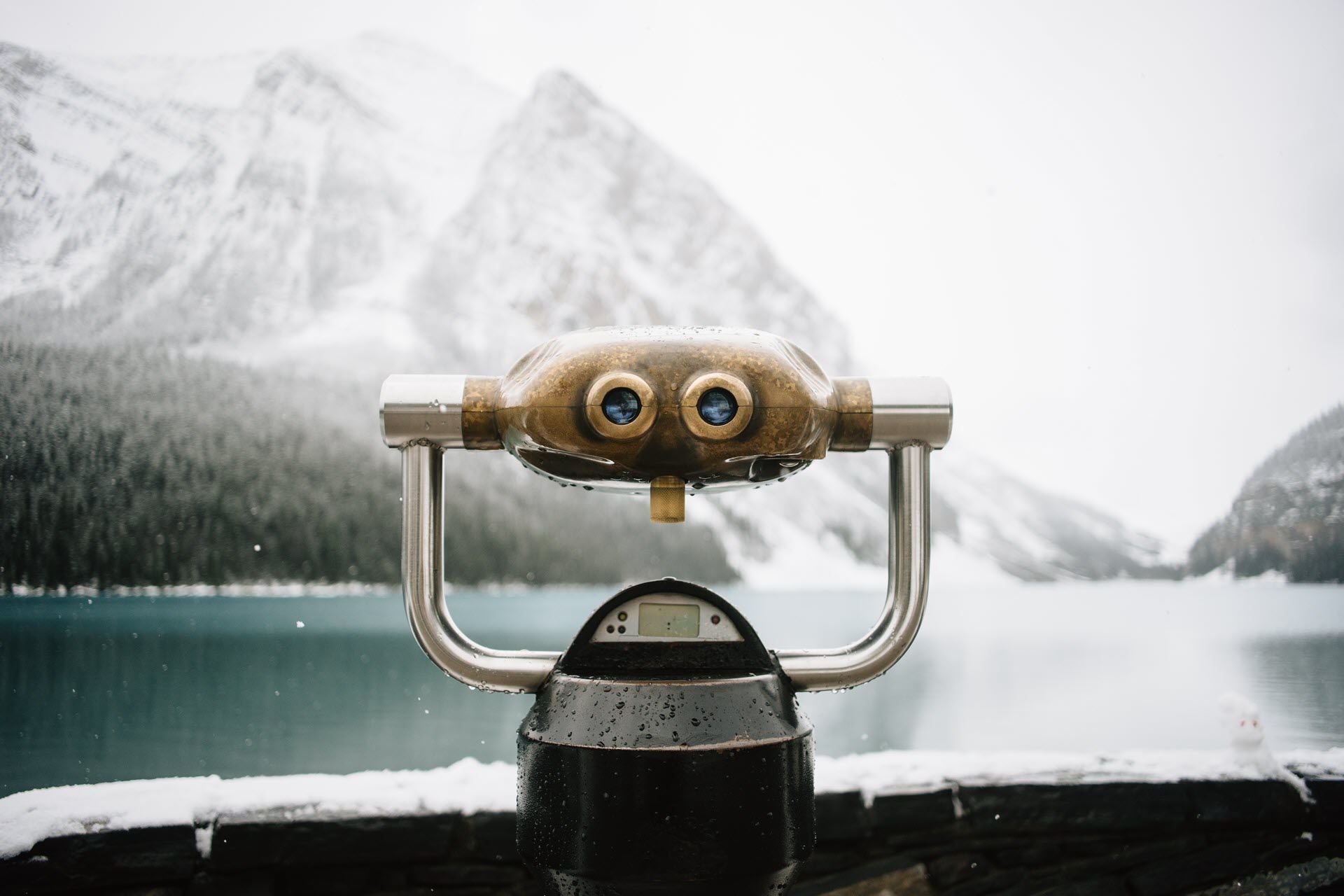 Telescope overlooking a lake and snowy mountains on a gray, overcast day.