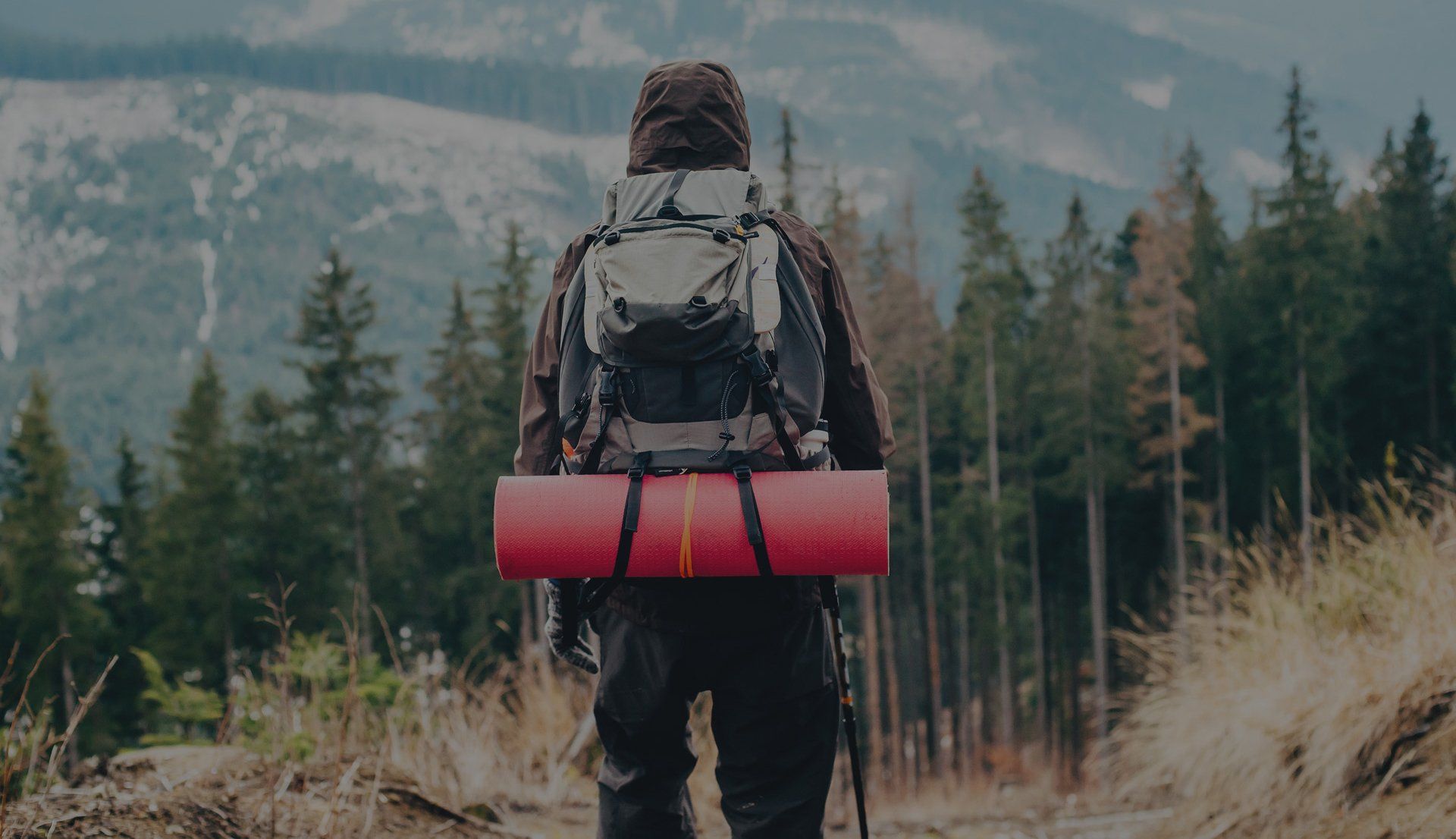 Hiker with backpack and red sleeping mat overlooking a forested mountain trail