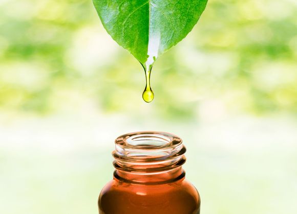 Olio essenziale