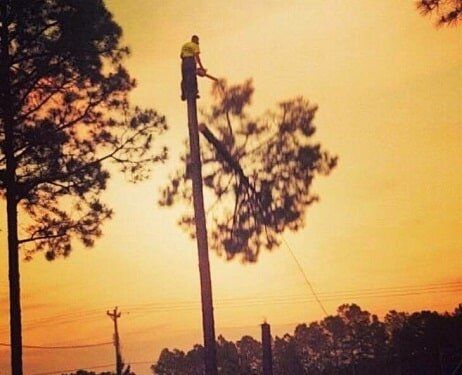 Man cuts a fallen tree — Tree Removal in Jacksonville, FL