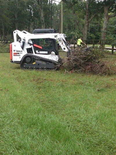 Man collecting branches of cut trees — Tree Removal in Jacksonville, FL