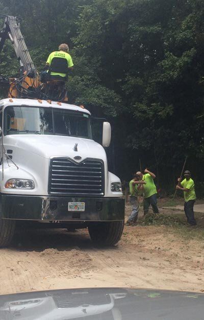 Commercial vehicle use in cut tree — Tree Removal in Jacksonville, FL