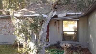 Tree fall in a small house — Tree Removal in Jacksonville, FL