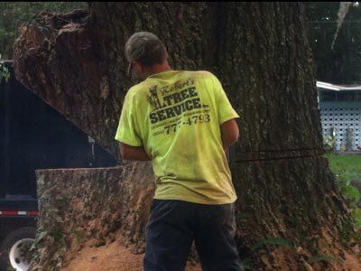 Man chainsawing a tree — Tree Removal in Jacksonville, FL