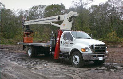 Roberts white crane — Tree Removal in Jacksonville, FL